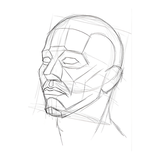 Beginner’s Sketching Guide